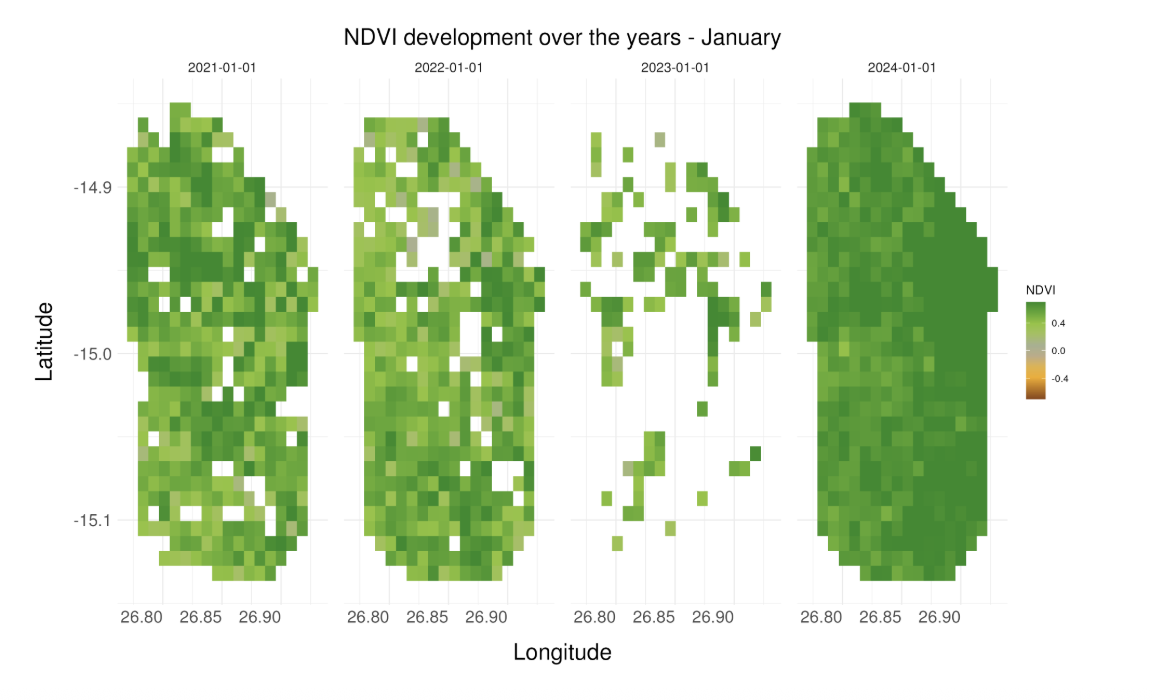 Annual NDVI January of the Conservation area in Zambia from 2021 - 2024. White spots represent missing data due to cloud coverage.
